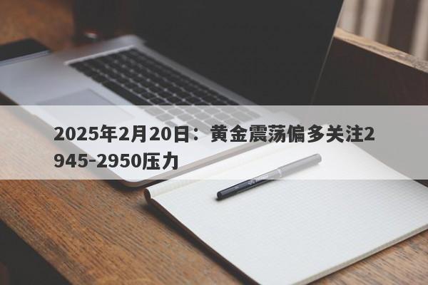 2025年2月20日：黄金震荡偏多关注2945-2950压力