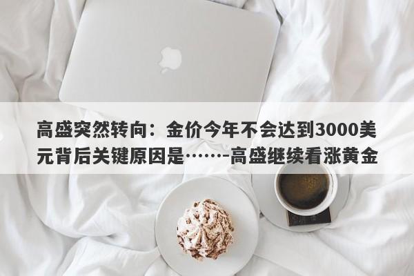 高盛突然转向：金价今年不会达到3000美元背后关键原因是……-高盛继续看涨黄金