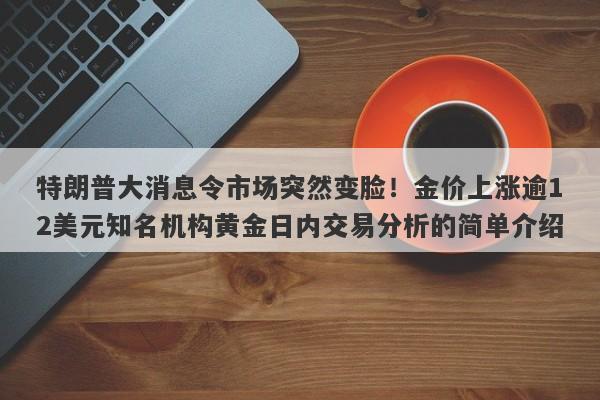 特朗普大消息令市场突然变脸！金价上涨逾12美元知名机构黄金日内交易分析的简单介绍