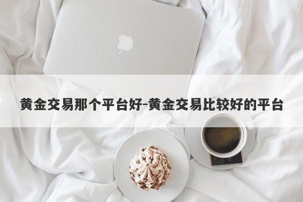 黄金交易那个平台好-黄金交易比较好的平台