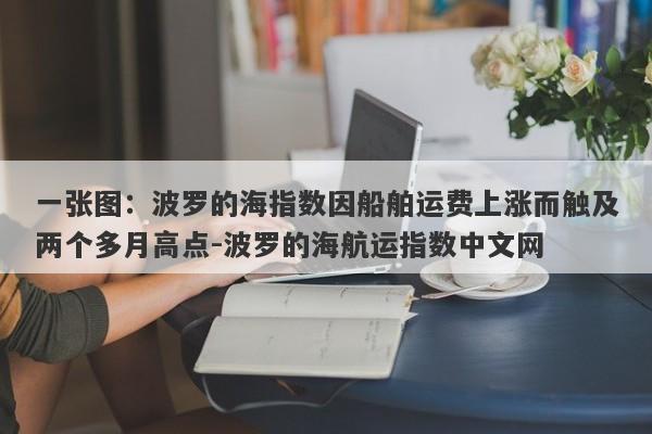 一张图：波罗的海指数因船舶运费上涨而触及两个多月高点-波罗的海航运指数中文网