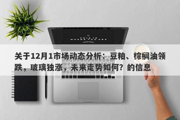 关于12月1市场动态分析：豆粕、棕榈油领跌，玻璃独涨，未来走势如何？的信息