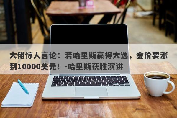 大佬惊人言论：若哈里斯赢得大选，金价要涨到10000美元！-哈里斯获胜演讲