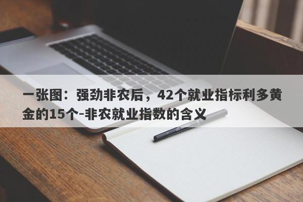 一张图：强劲非农后，42个就业指标利多黄金的15个-非农就业指数的含义